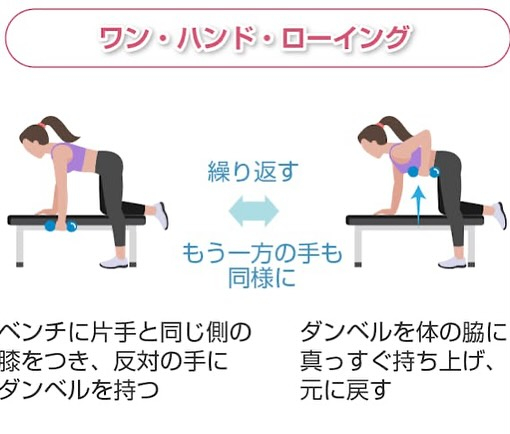 筋肉のお勉強(広背筋)