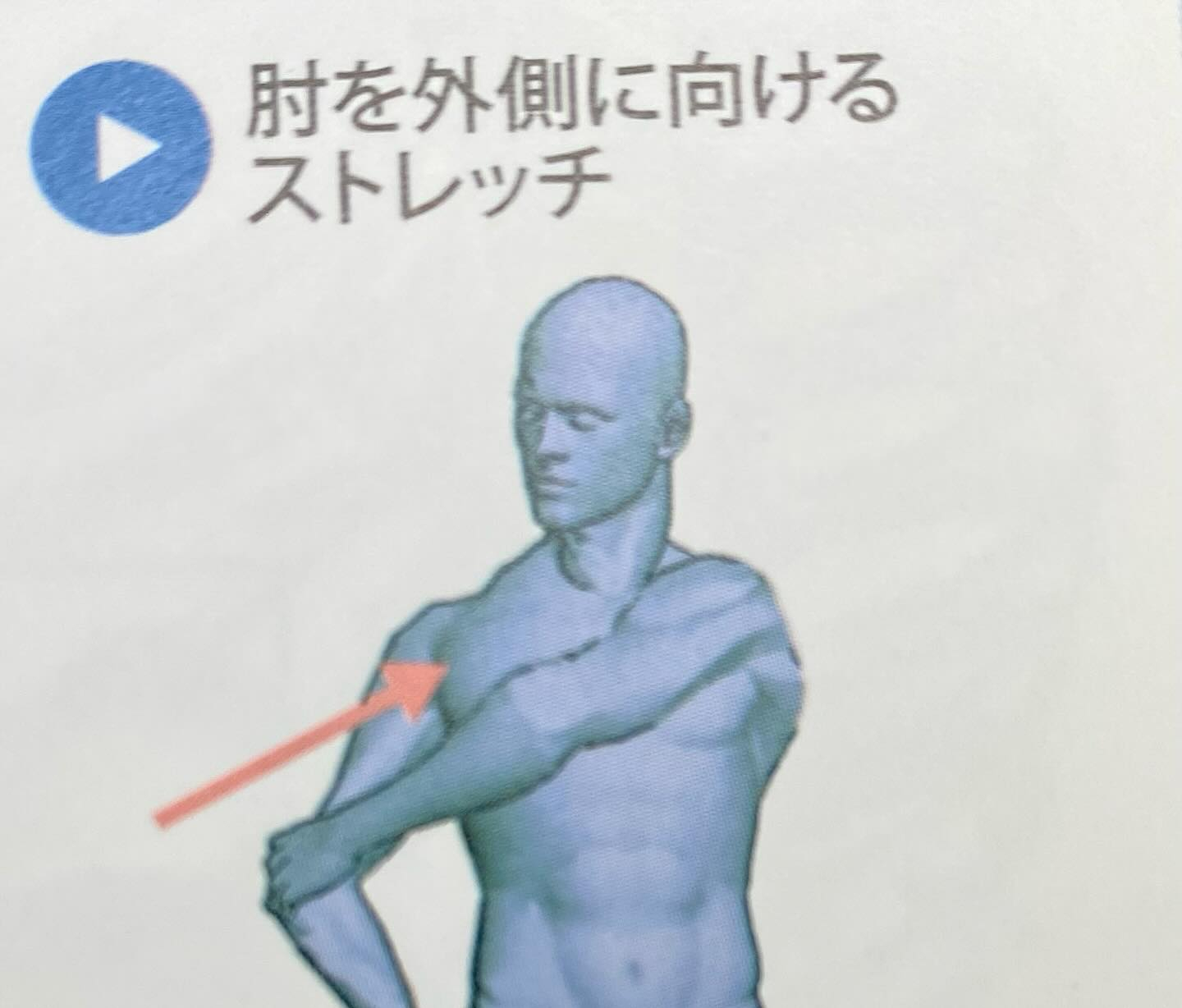 筋肉のお勉強(棘上筋)