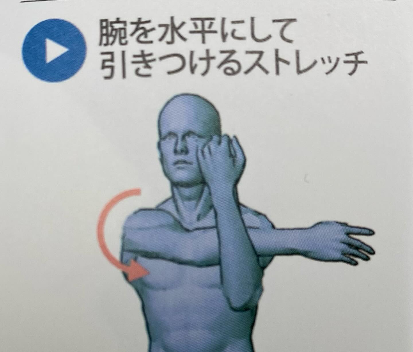 筋肉のお勉強(棘上筋)