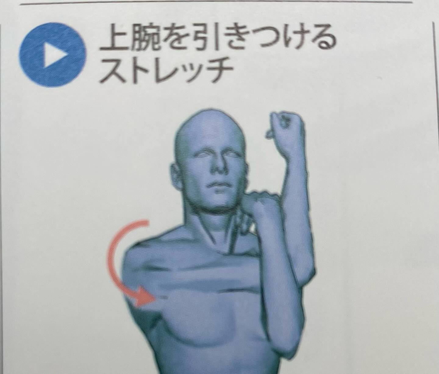 筋肉のお勉強(棘上筋)